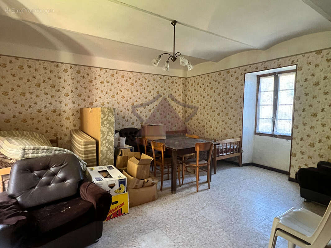 Maison à SAINT-FLORENT-SUR-AUZONNET