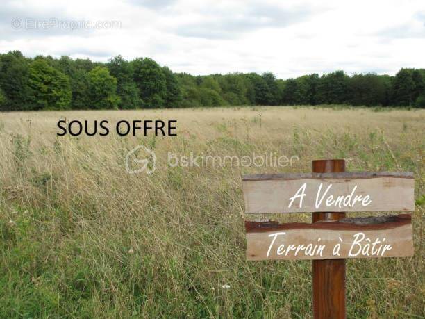 Terrain à SAFFRE