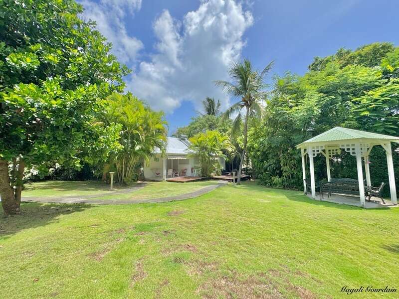 Commerce à SAINT-FRANCOIS