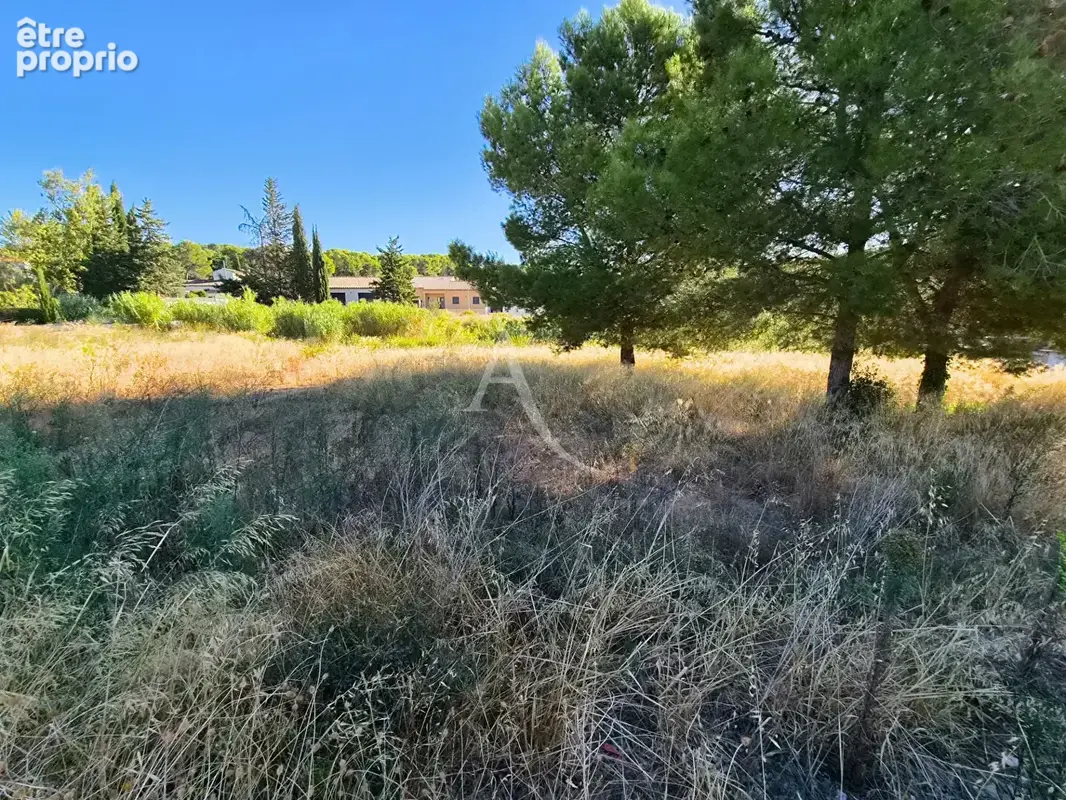 Bize Minervois -Terrain à bâtir viabilisé de 1000 m2 - photo 2