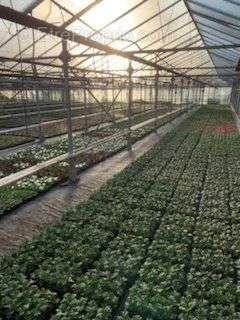 Commerce à RIBEMONT