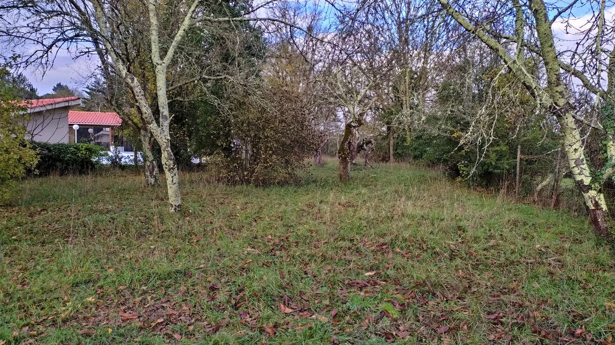 Terrain à AUCH
