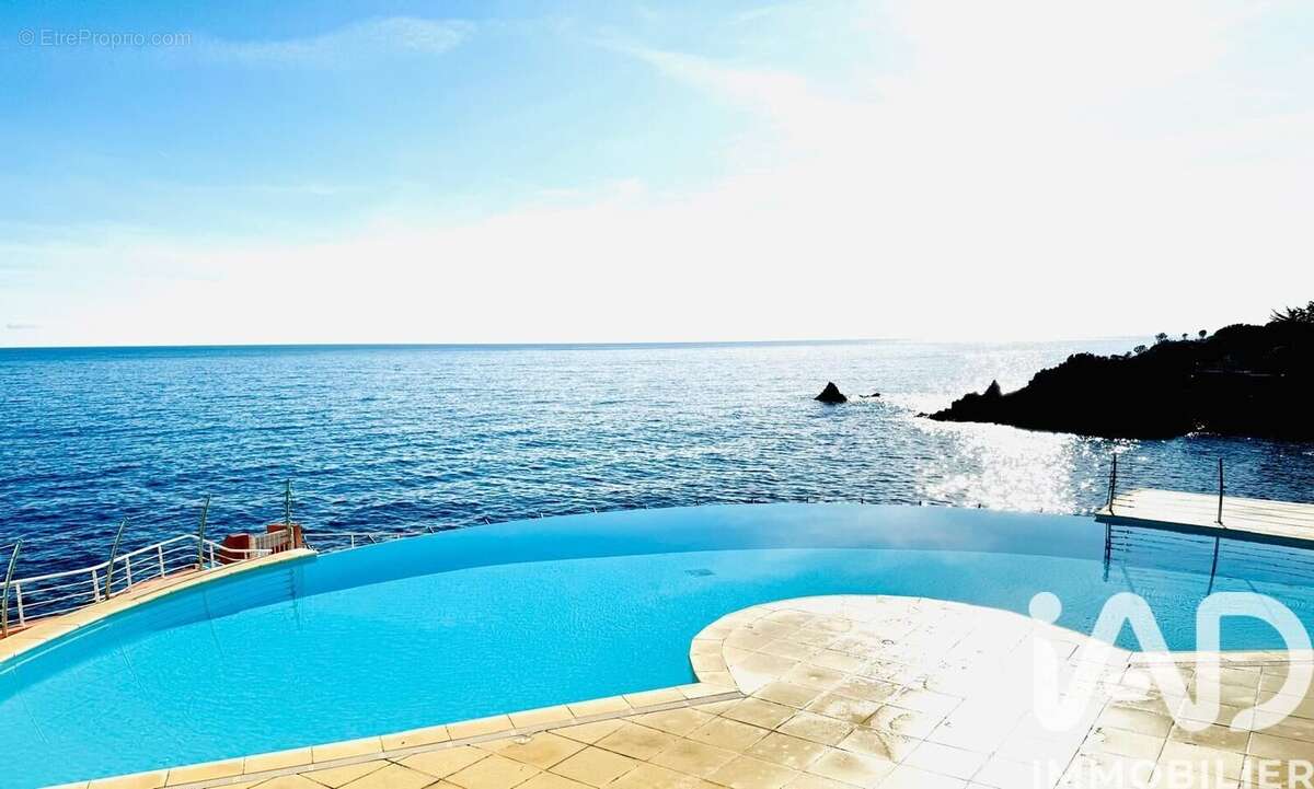 Photo 8 - Appartement à LA SEYNE-SUR-MER