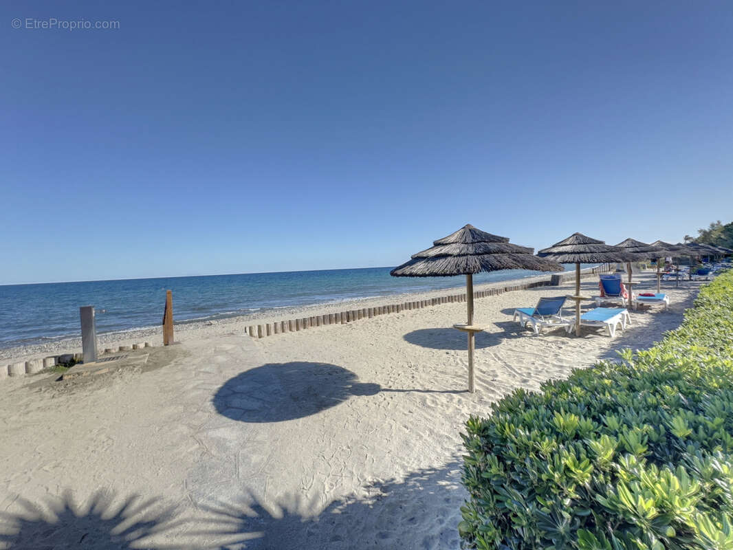 Appartement à SAN-NICOLAO