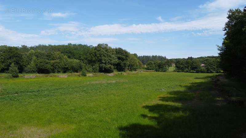 Terrain à BLETTERANS