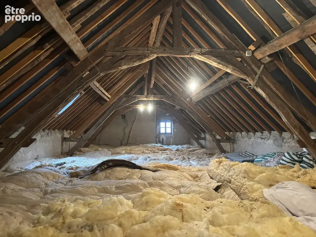 Pouzy-Mésangy   Maison sans voisins avec une grande grange et une vue magnifique - photo 14