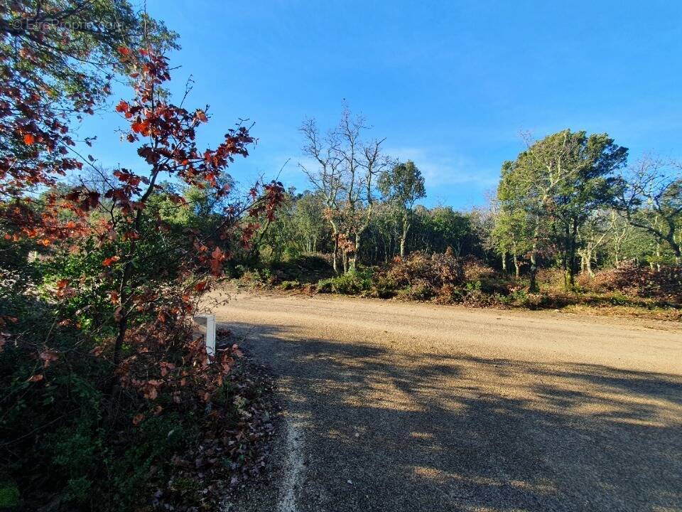 Terrain à LABASTIDE-DE-VIRAC