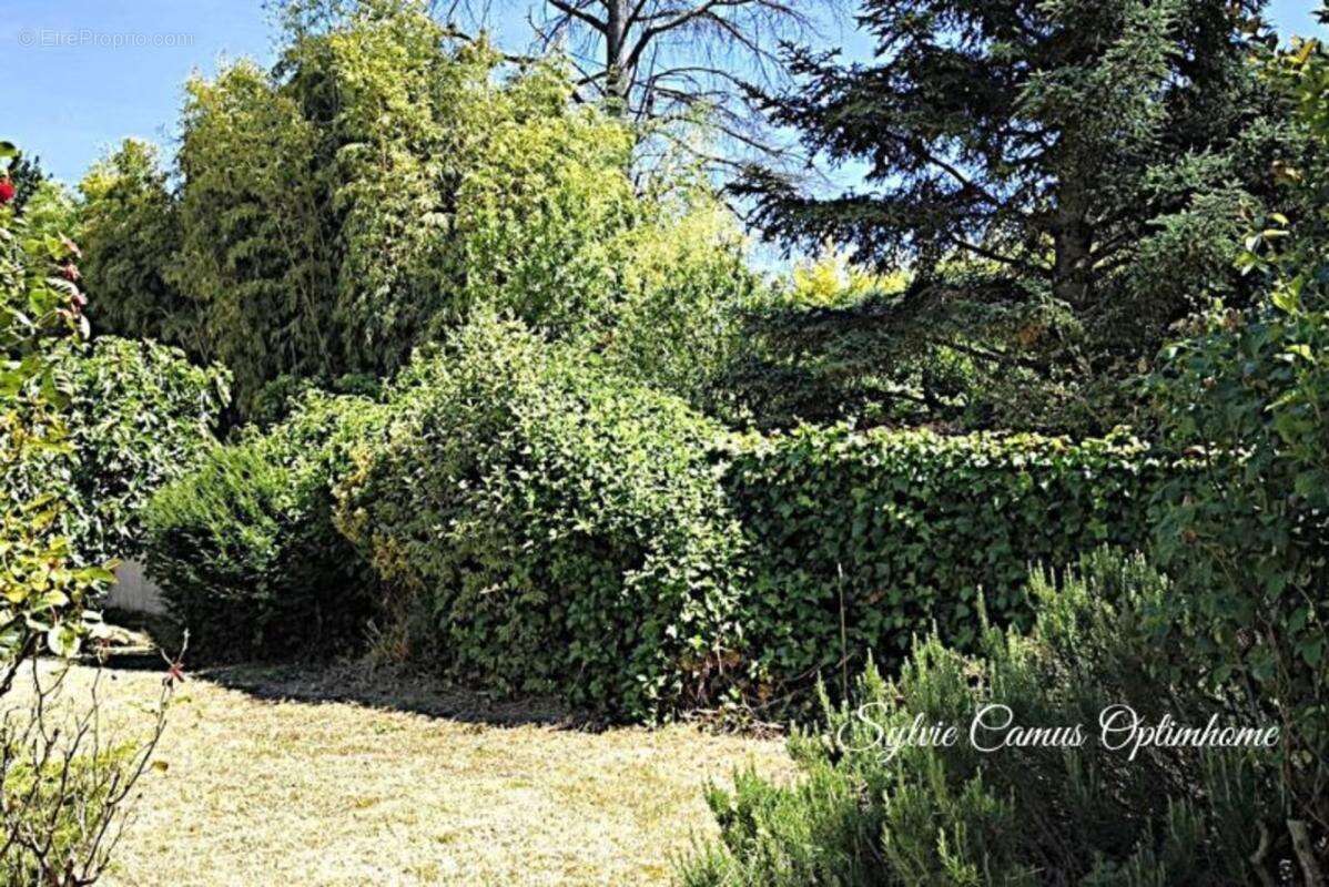 Maison 5 pièces CHAZEY SUR AIN (01) -154 m²-terrain 560m²-à 30 minutes de Lyon - photo 20