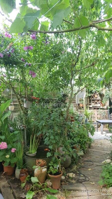 Maison à LONGEVILLE-SUR-MER