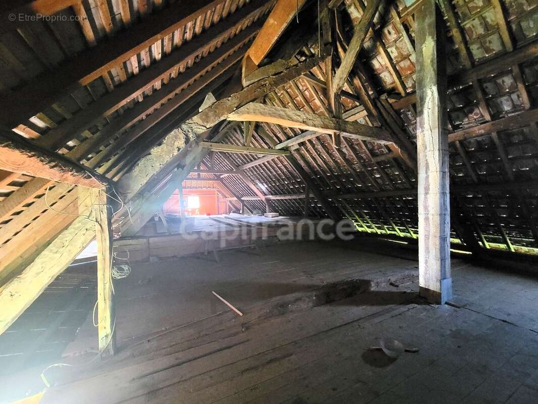 Corps de Ferme à fort potentiel - Idéal Artisan, Investisseur ou Grande Famille - photo 42