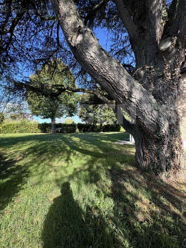 IMG_5616 - Maison à REYNIES