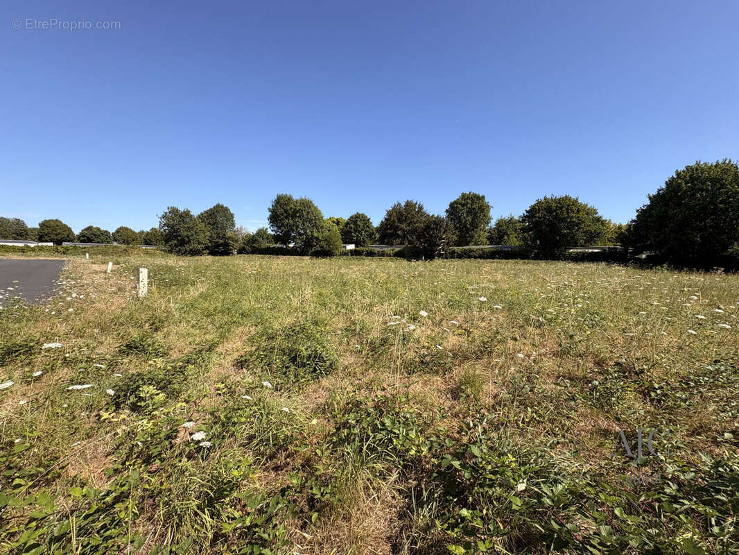 Terrain 461 m² à Benodet  - photo 4