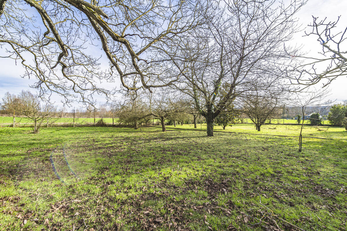 Terrain à COURLANDON