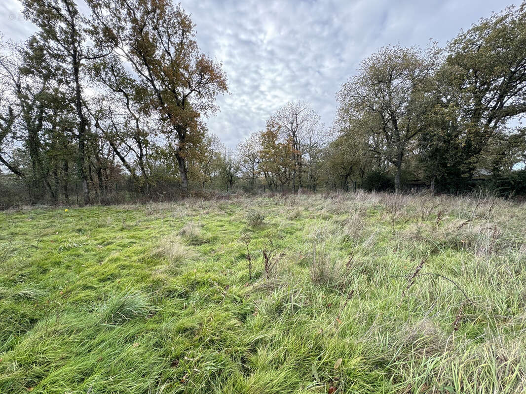 Terrain à FONSORBES