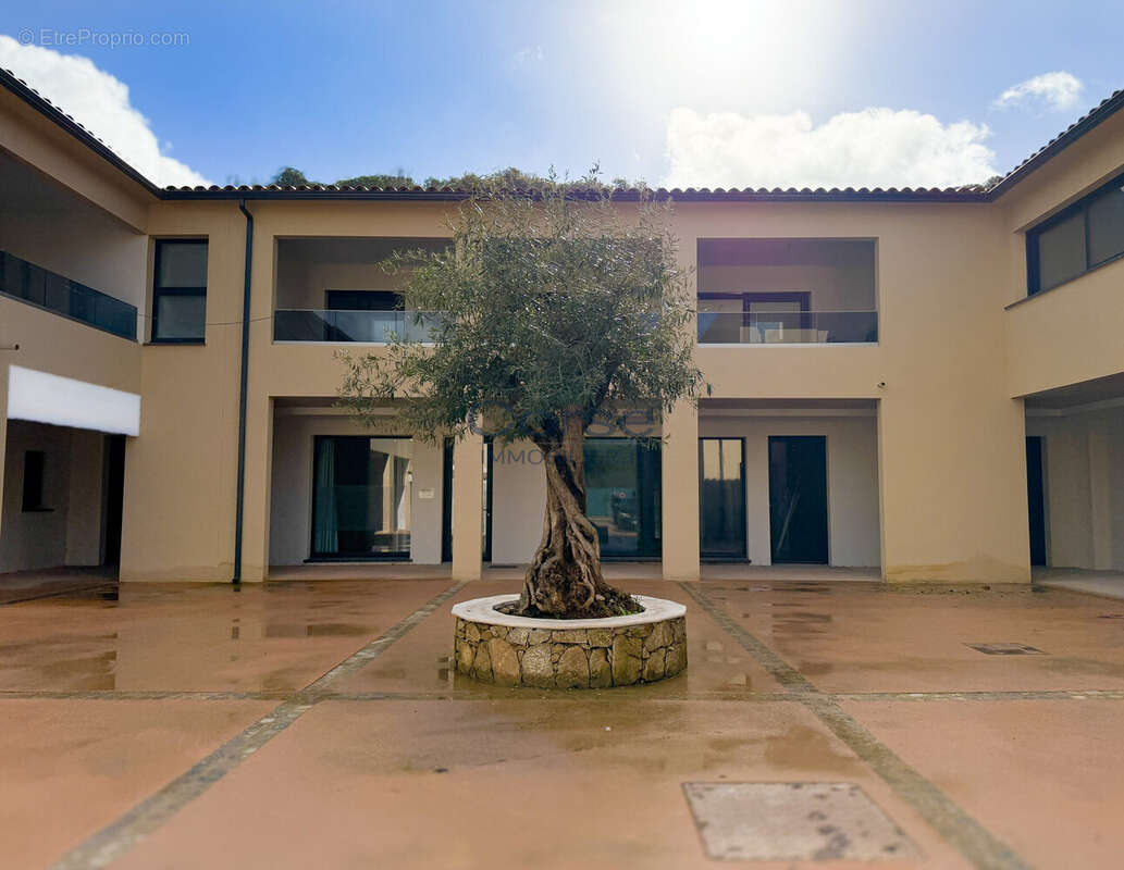 Commerce 82 m² à Pietrosella  - photo 4