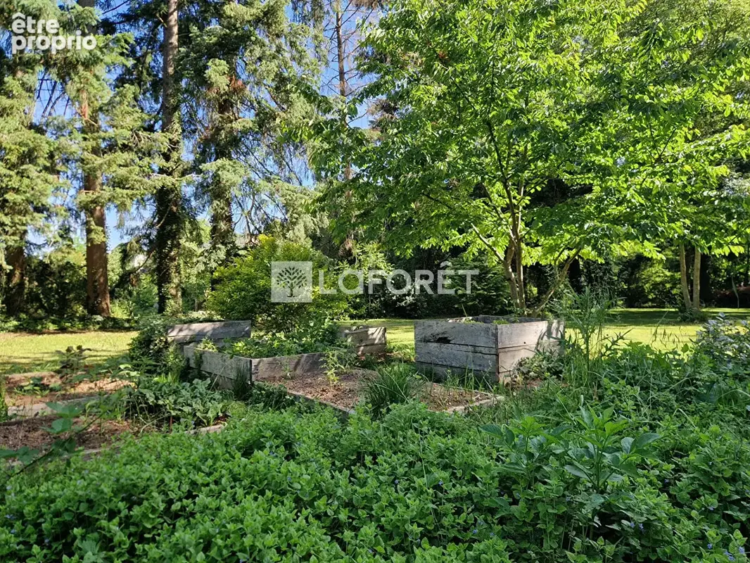 Maison en pierre - photo 5