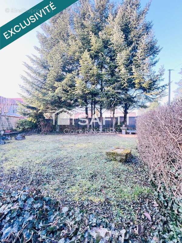 Photo 7 - Maison à FARSCHVILLER