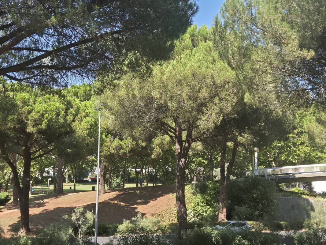 Appartement à LA GRANDE-MOTTE