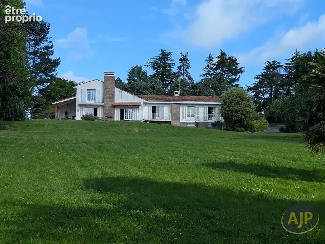 propriété centre bourg Boussay - photo 1