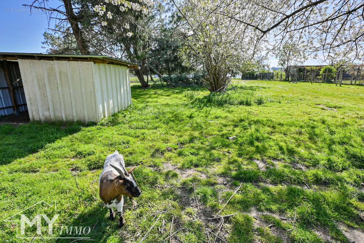 Maison à SAINT-ANTOINE-DE-BREUILH