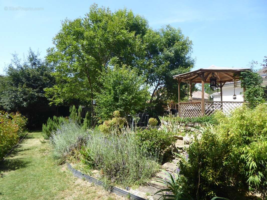 Maison à TREPT