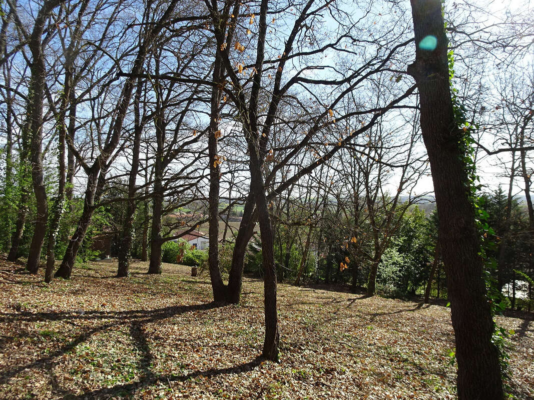 Maison à LAGARDELLE-SUR-LEZE