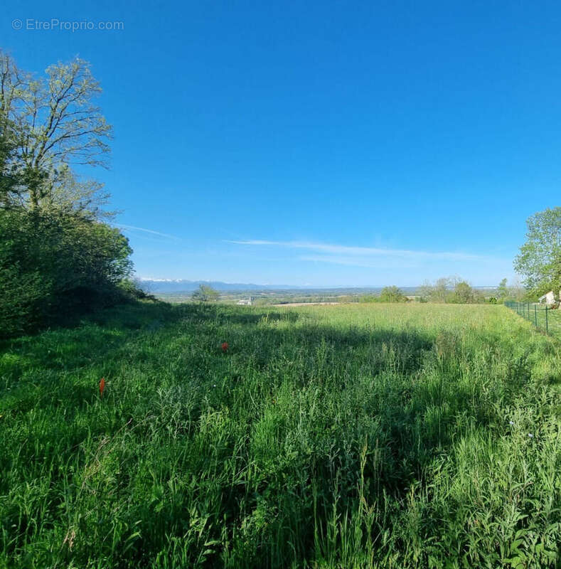 Terrain à ANDOINS