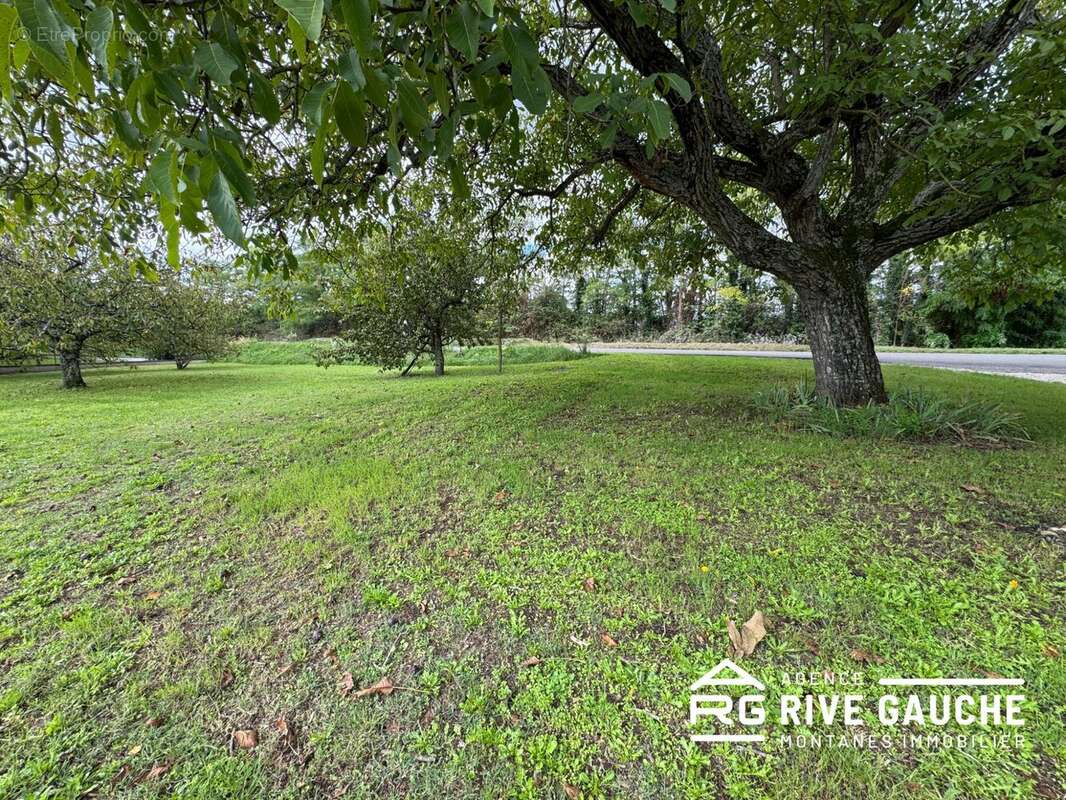 Terrain à SAINT-UZE