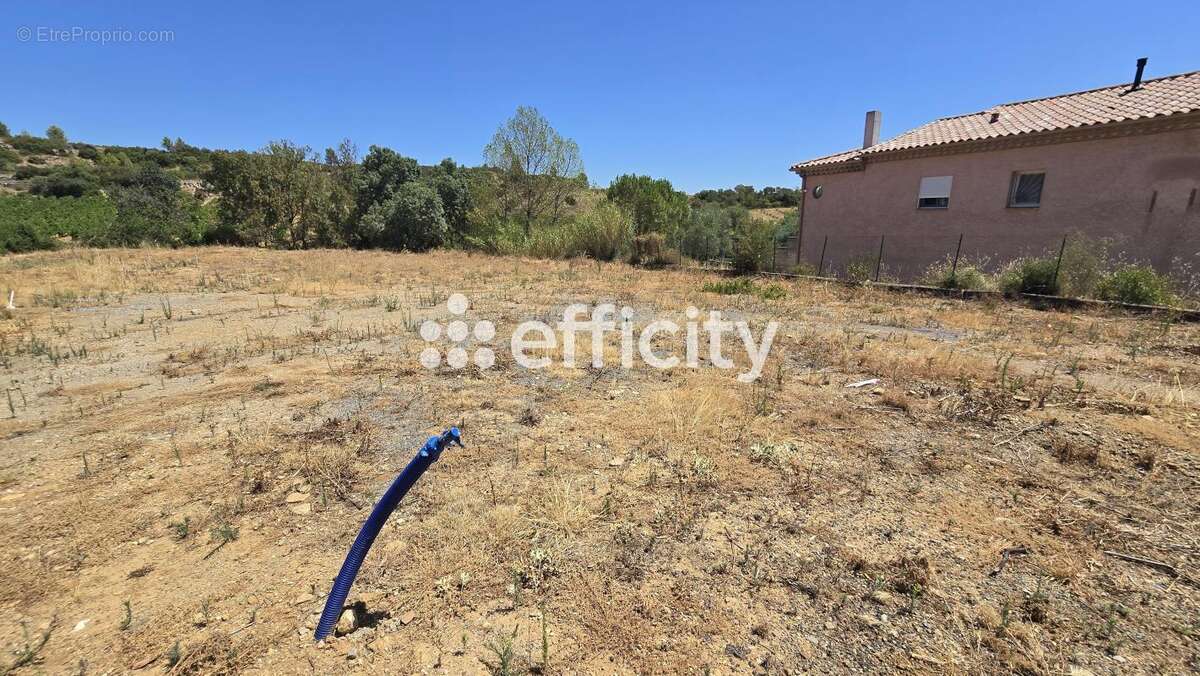 Terrain 999 m² à Cessenon-Sur-Orb  - photo 2