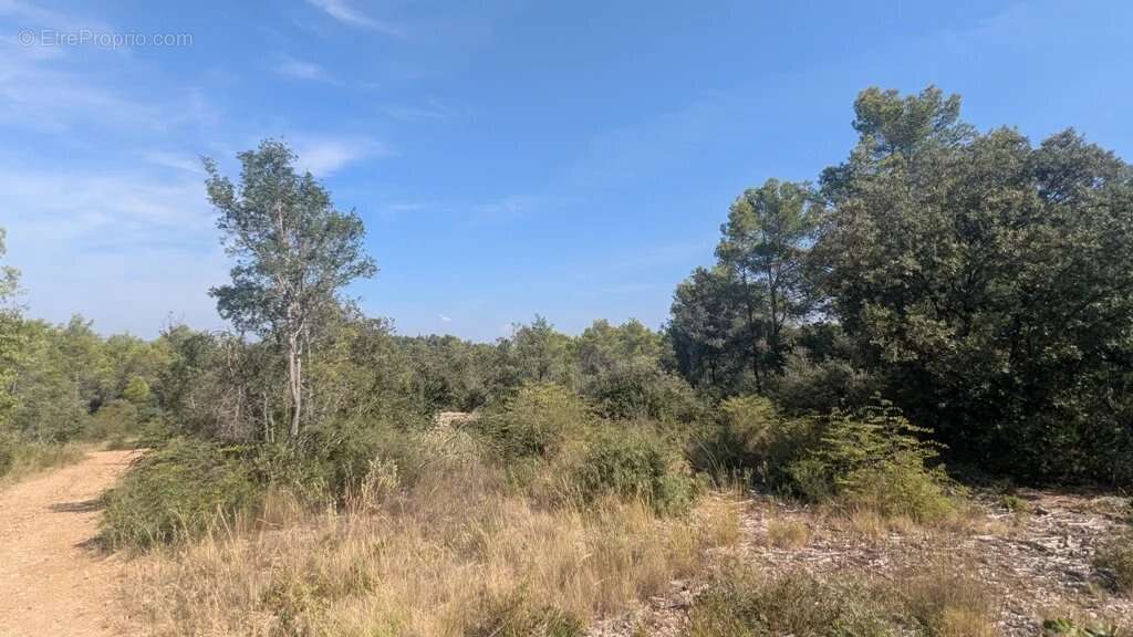 CARCES - Terrain 22.234m² en zone Naturelle - photo 11