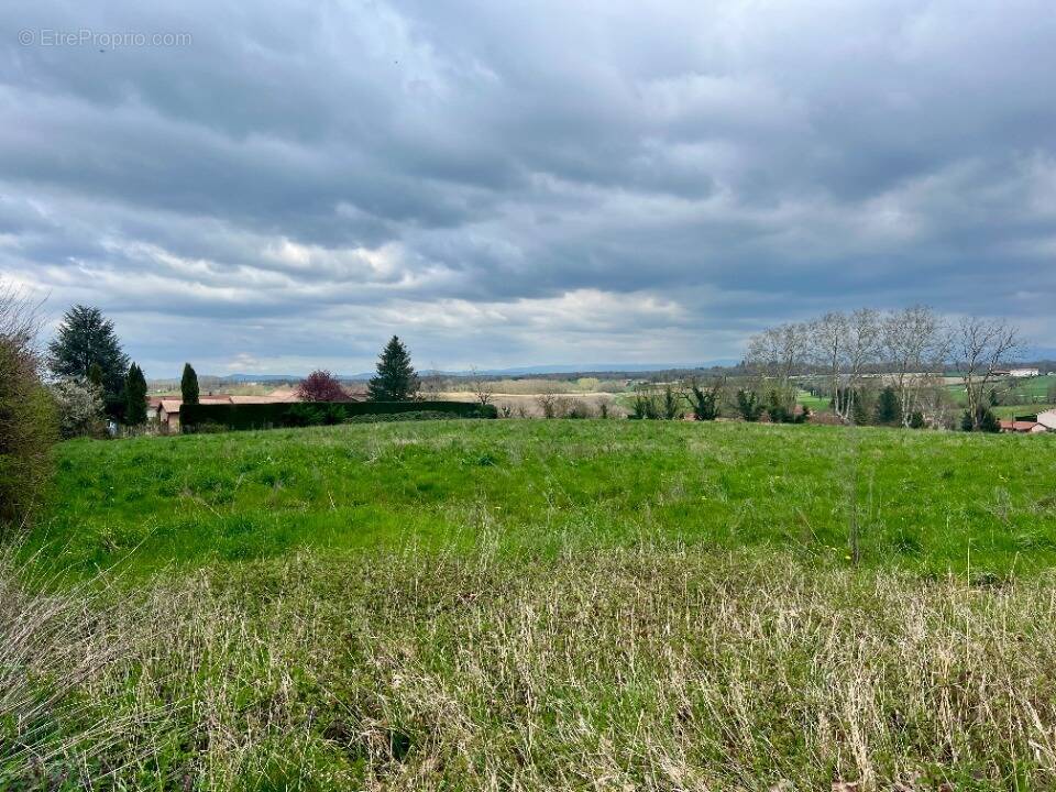 Terrain à CHALAMONT