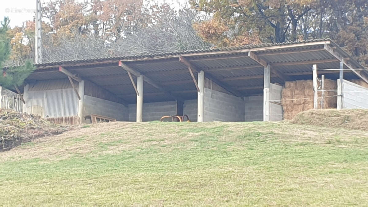 Maison à SAINT-CLAIR