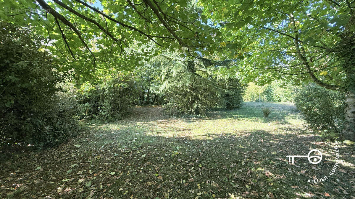 Terrain à OUZOUER-LE-MARCHE