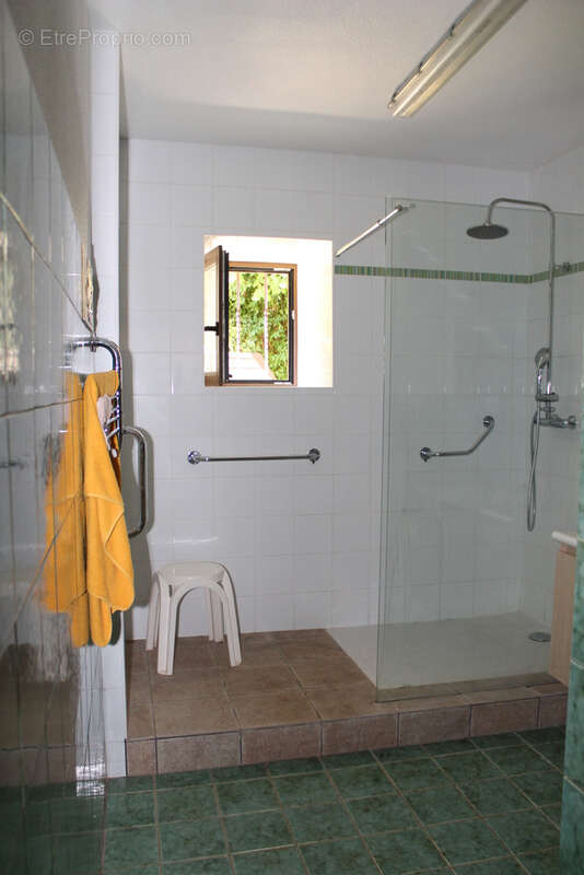 St Palais   Maison spacieuse  sur 1612 m2 dans le village. - photo 12