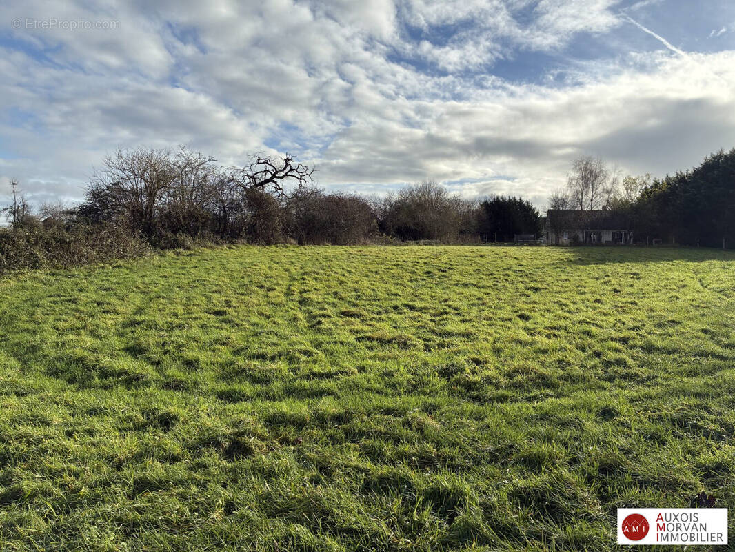 Terrain à TORCY-ET-POULIGNY