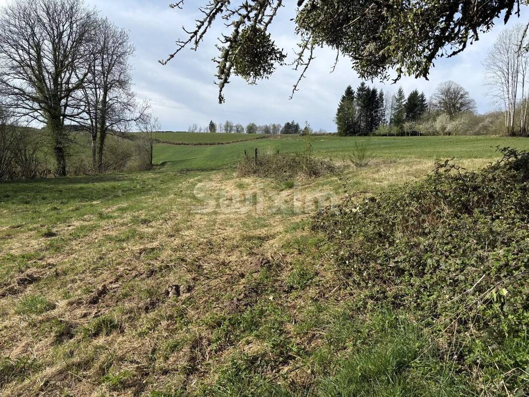 Maison à QUARRE-LES-TOMBES
