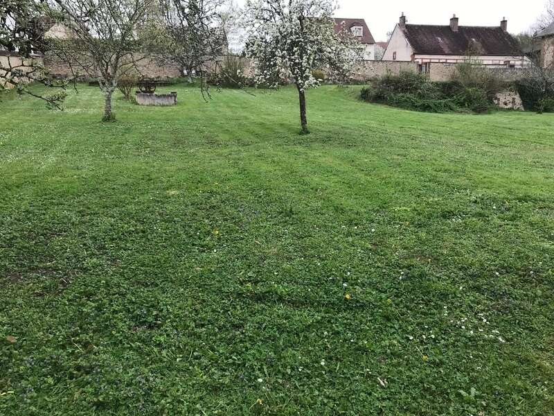  Rare à Bléneau (89220) : Magnifique terrain à bâtir de 2400 m² avec dépendance de charme - photo 3