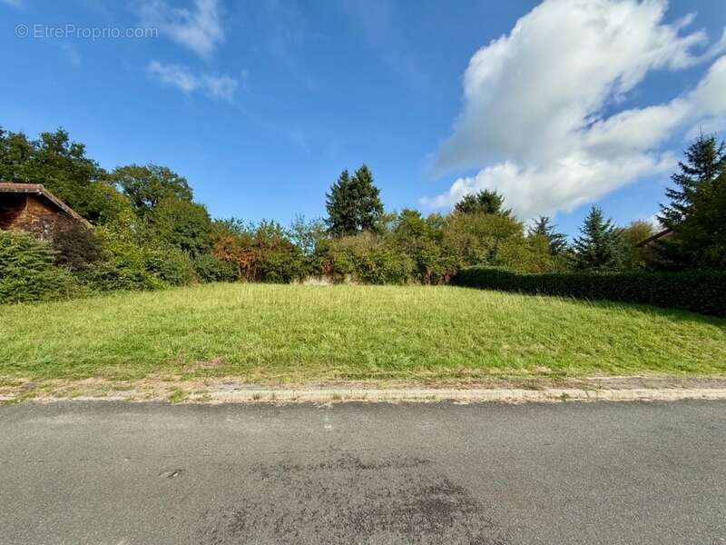 Terrain à MATOUR