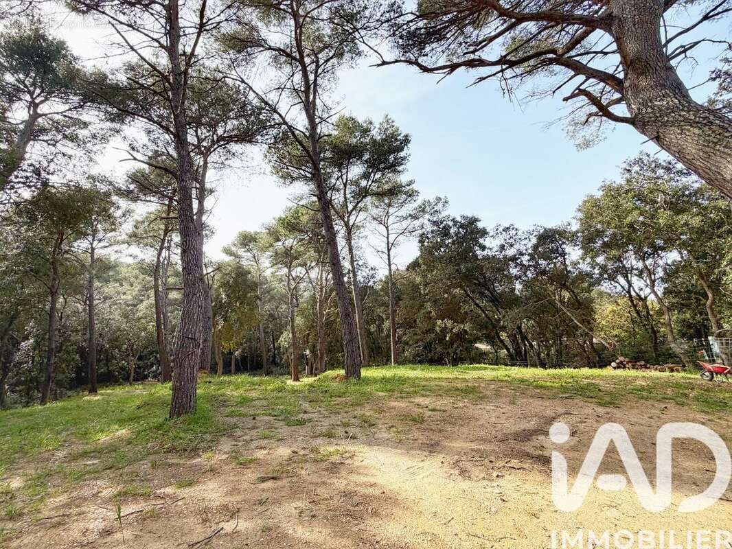 Photo 4 - Maison à SIX-FOURS-LES-PLAGES