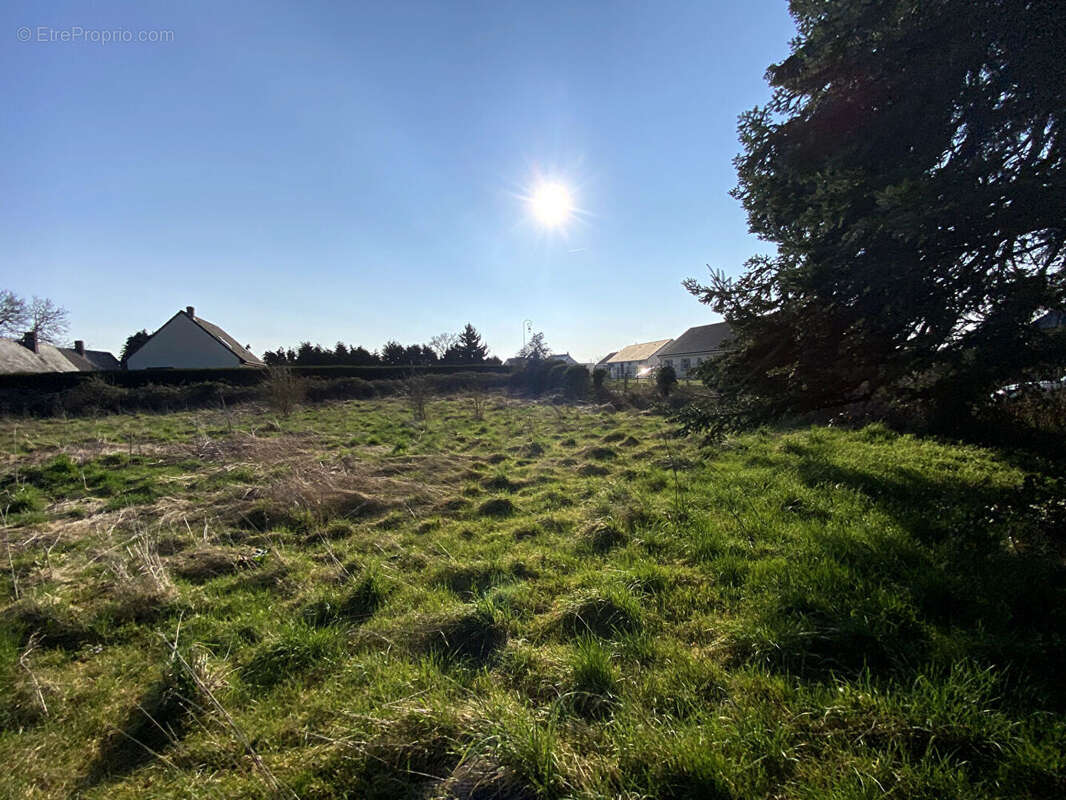 Terrain à BERNIENVILLE