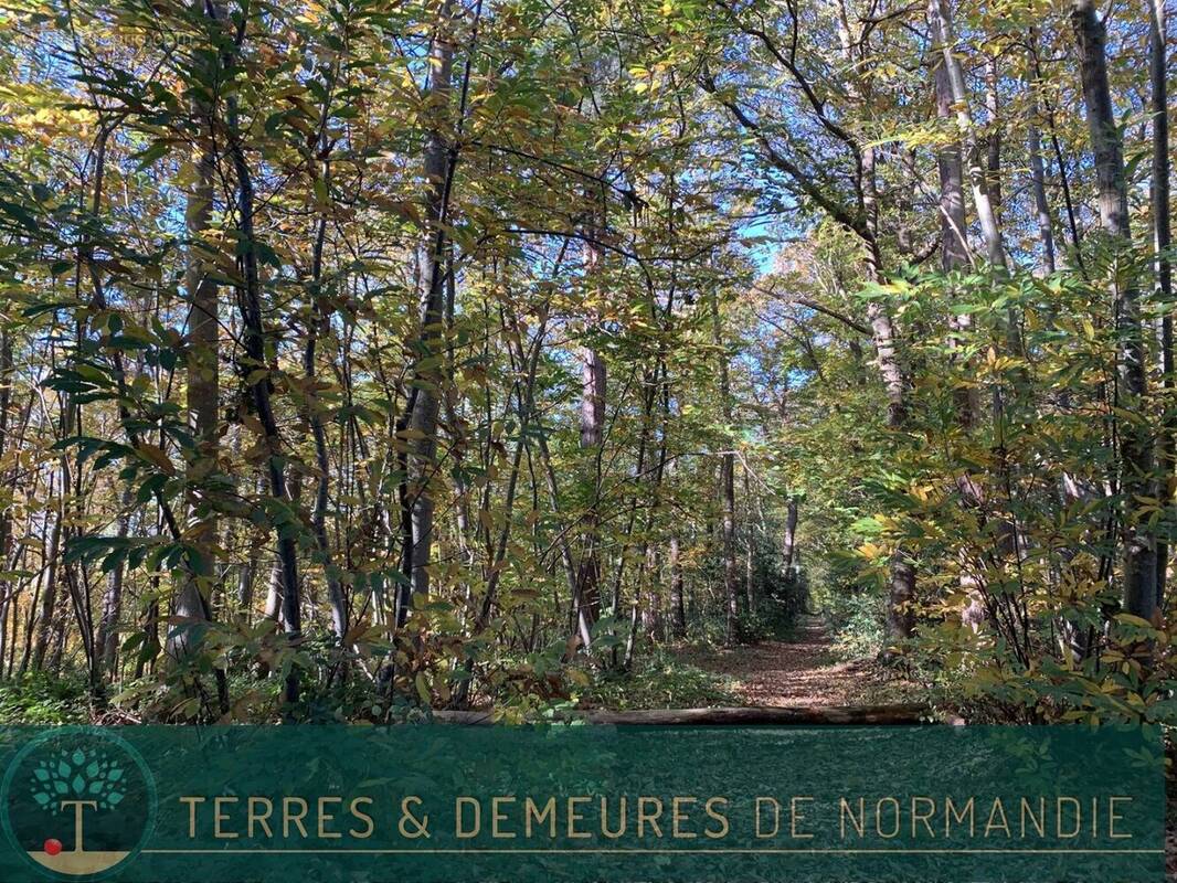 Terrain à BEUZEVILLE