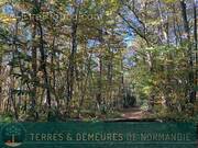 Terrain à BEUZEVILLE