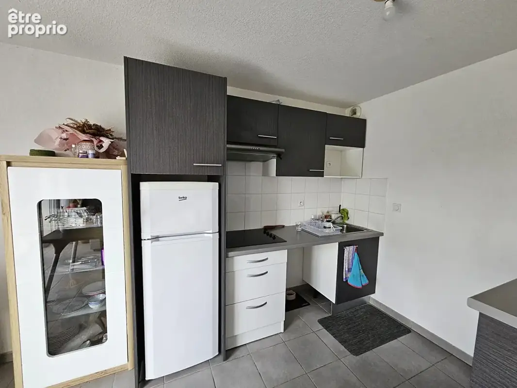 Appartement Pins Justaret 3 pièce(s) - photo 4