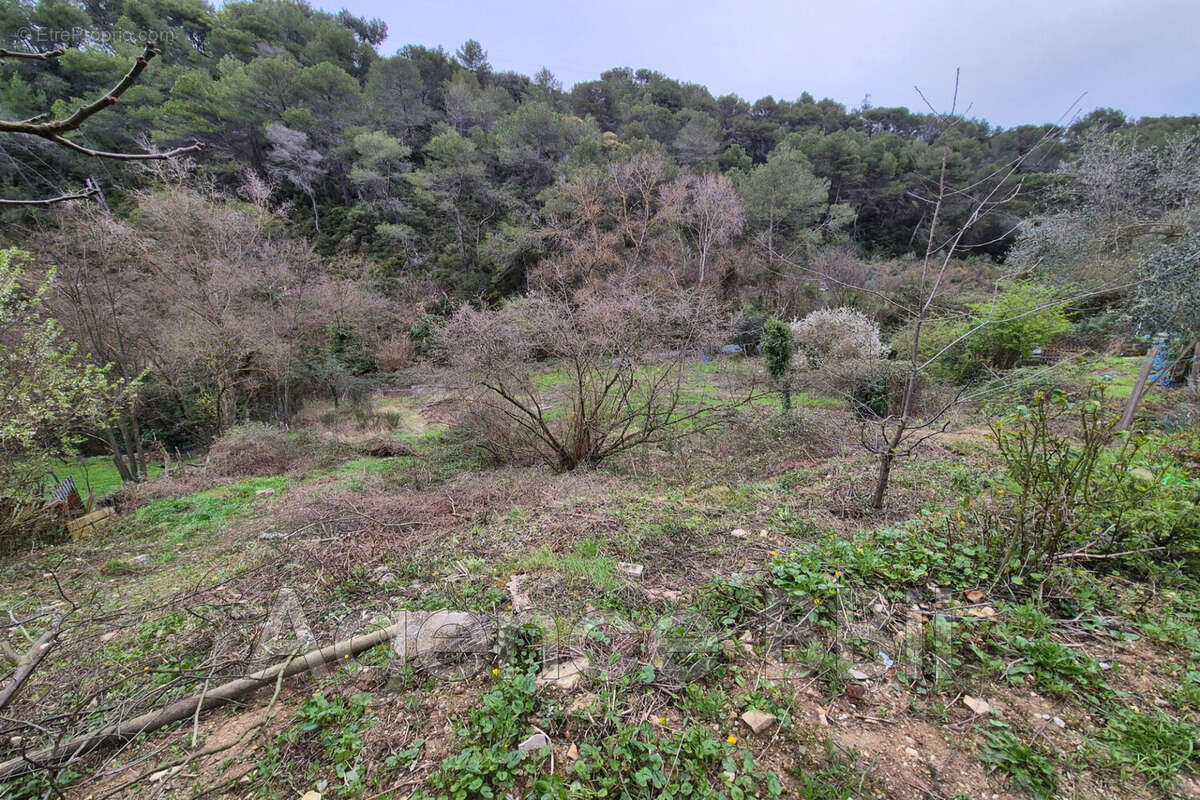 Maison à LA TRINITE