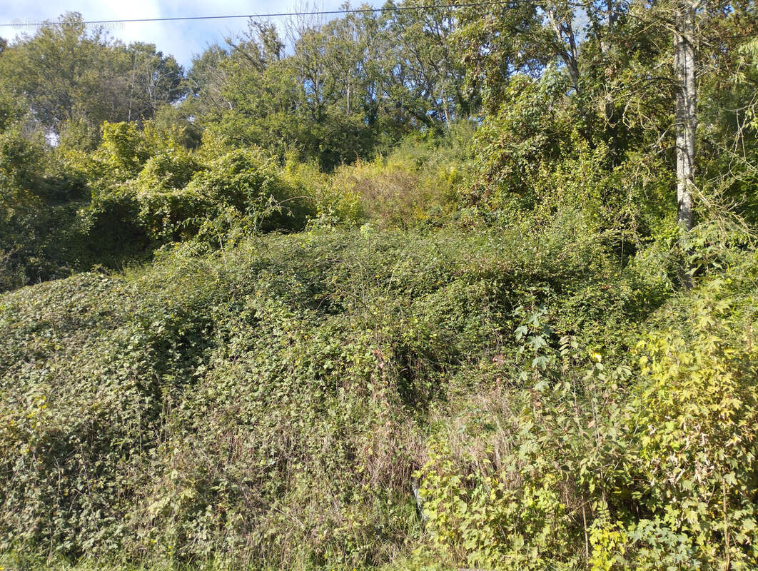 Maison à CLOYES-SUR-LE-LOIR