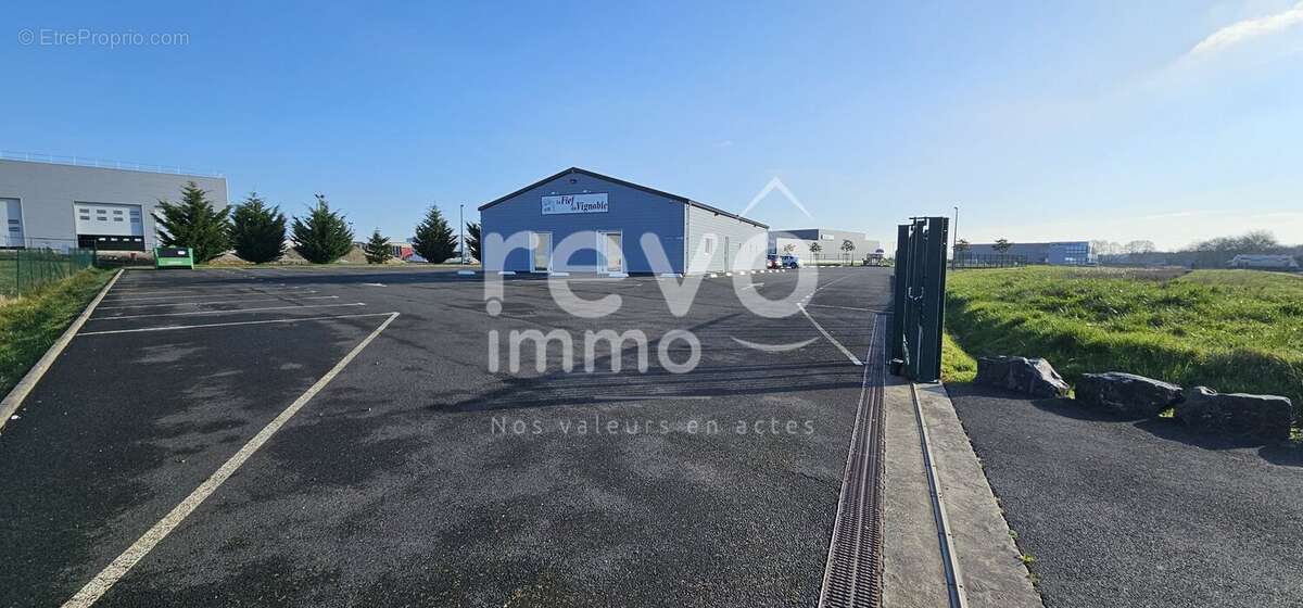 Commerce à MOUZILLON