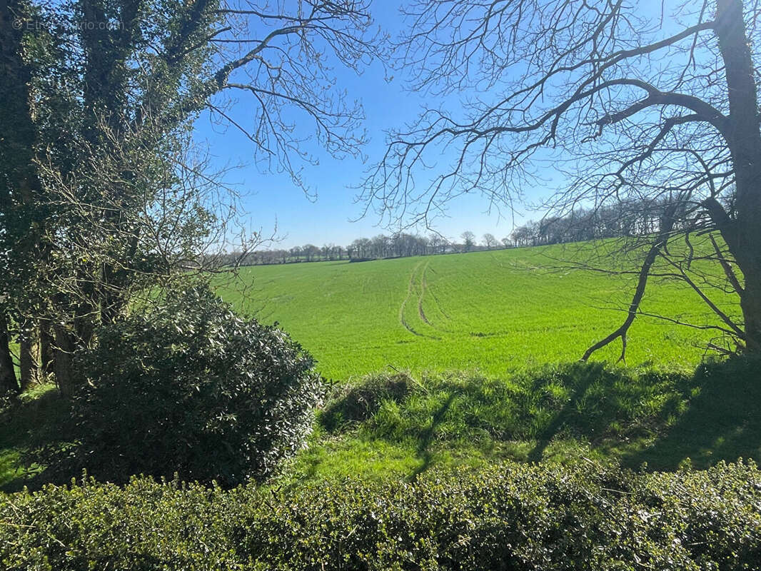 FINISTÈRE: Proche Huelgoat. Belle maison de campagne rénovée avec 3 ch, 2 sdb et jardin. - photo 2