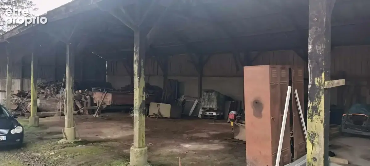 Hangar et étang - photo 12