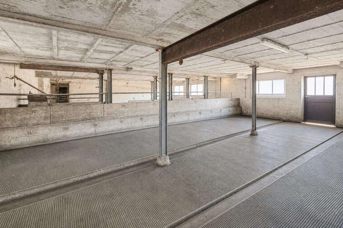 Maison lumineuse de 200 m² à Vrécourt avec jardin - photo 9