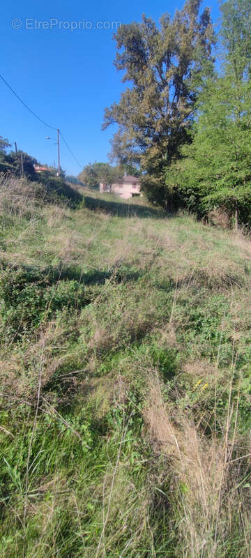 Terrain à VIC-EN-BIGORRE